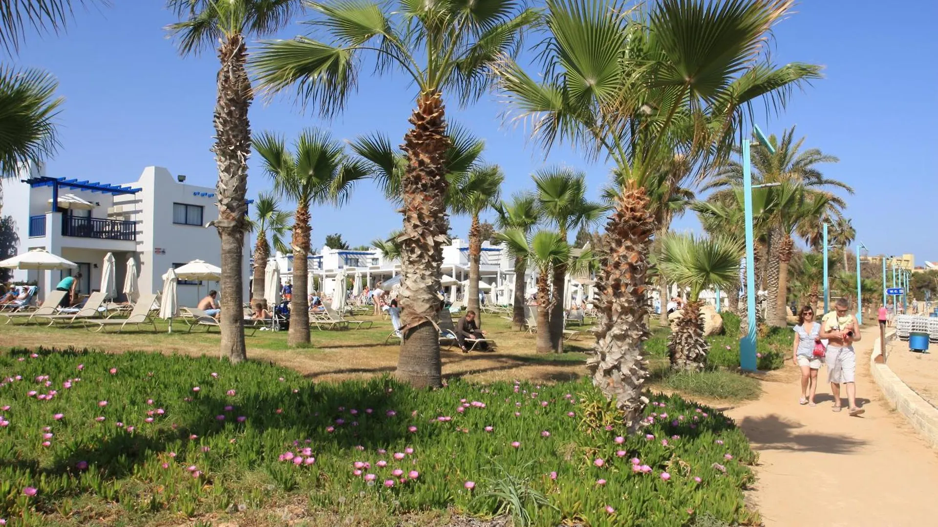 Marismare Apartments Agia Napa Zypern